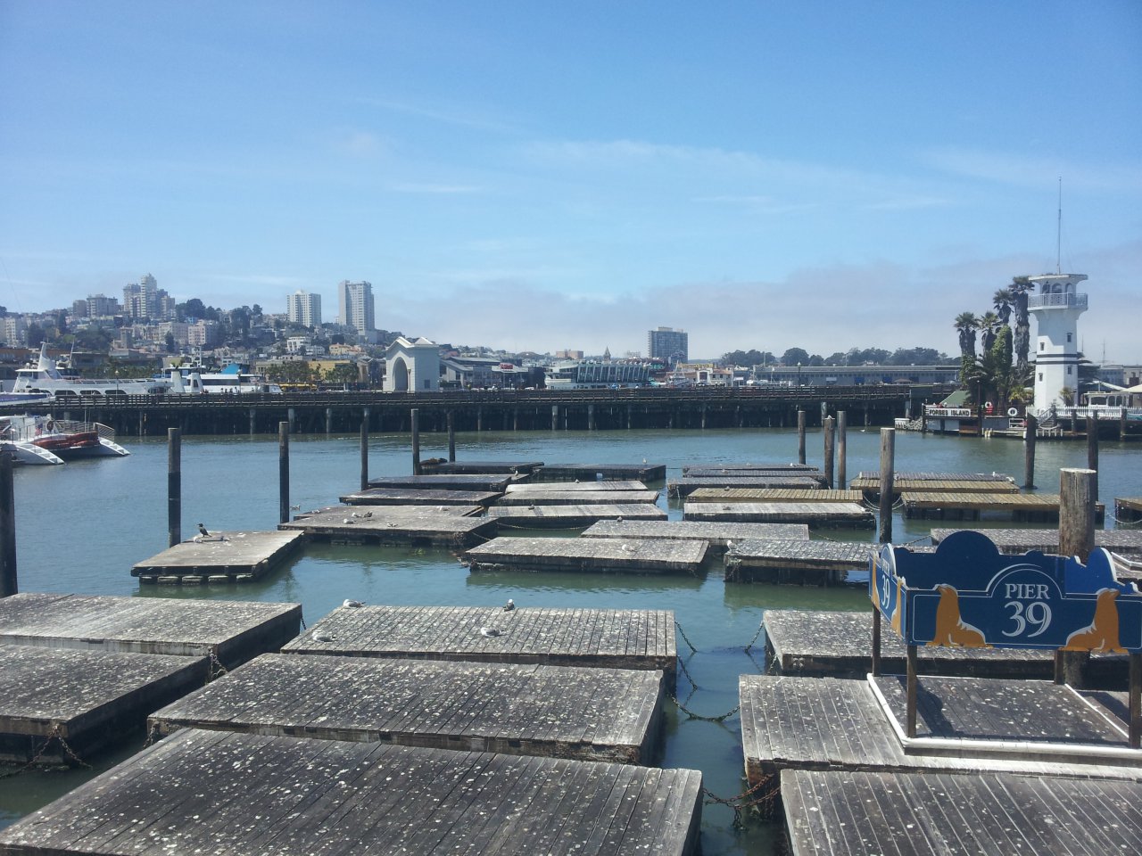 Pier 39 et ses Sea Lions qui ne sont pas la