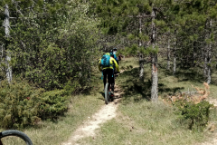 IMG_20190505_111137_2CS