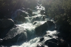 Torrent de la Sassière