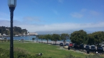 Golden gate dans une légère brume